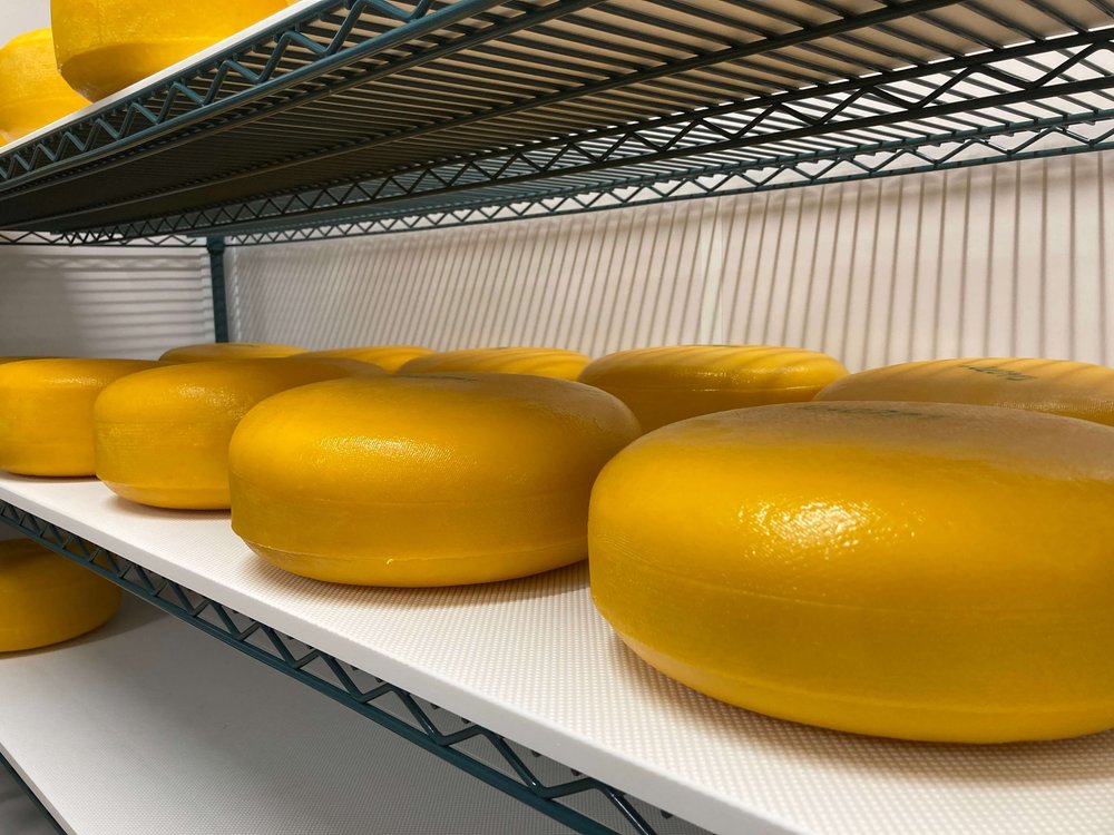 Aging Cheese at Pleasant Lane Farms